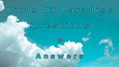 Birds Of Paradise Questions & Answers