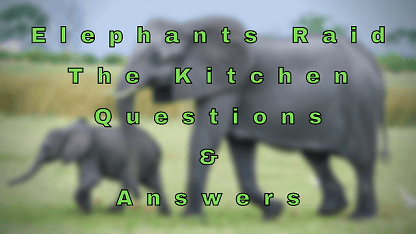 Elephants Raid The Kitchen Questions & Answers