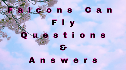 Falcons Can Fly Questions & Answers