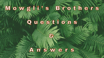 Mowgli’s Brothers Questions & Answers