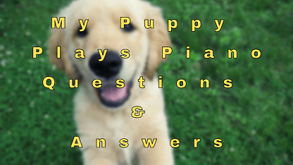 My Puppy Plays Piano Questions & Answers