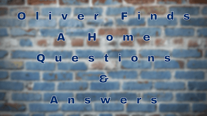 Oliver Finds A Home Questions & Answers