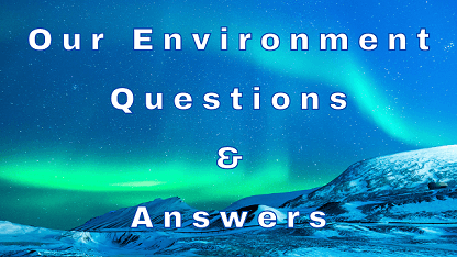 Our Environment Questions & Answers