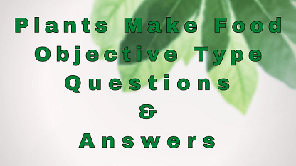 Plants Make Food Objective Type Questions & Answers