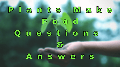 Plants Make Food Questions & Answers