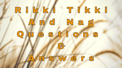 Rikki Tikki And Nag Questions & Answers