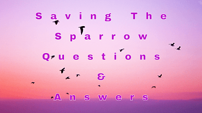 Saving The Sparrow Questions & Answers