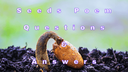 Seeds Poem Questions & Answers