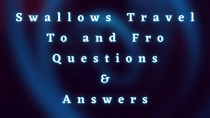 Swallows Travel To and Fro Questions & Answers