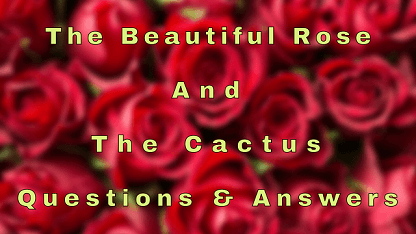 The Beautiful Rose and The Cactus Questions & Answers