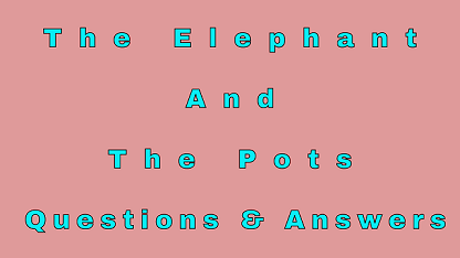 The Elephant and The Pots Questions & Answers