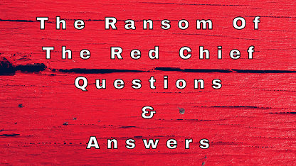 The Ransom Of The Red Chief Questions & Answers