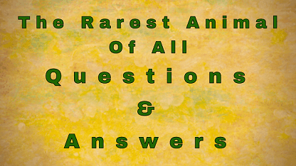 The Rarest Animal Of All Questions & Answers
