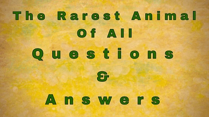 The Rarest Animal Of All Questions & Answers