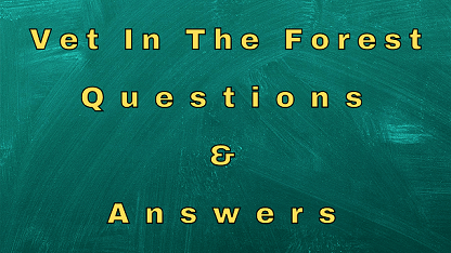 Vet in The Forest Questions & Answers