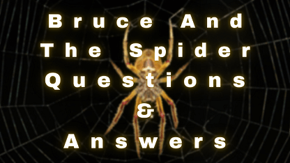 Bruce and The Spider Questions & Answers