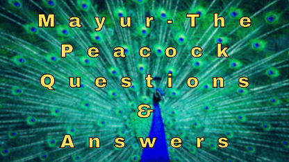 Mayur The Peacock Questions & Answers