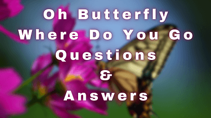 Oh Butterfly Where Do You Go Questions & Answers