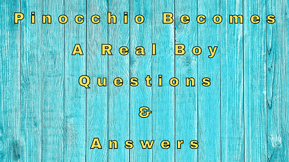 Pinocchio Becomes A Real Boy Questions & Answers