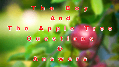 The Boy and The Apple Tree Questions & Answers