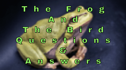 The Frog and The Bird Questions & Answers