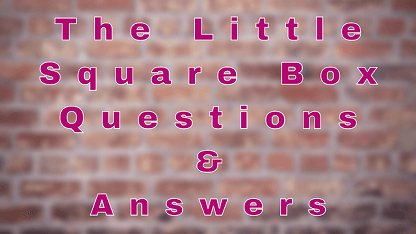 That Little Square Box Questions & Answers