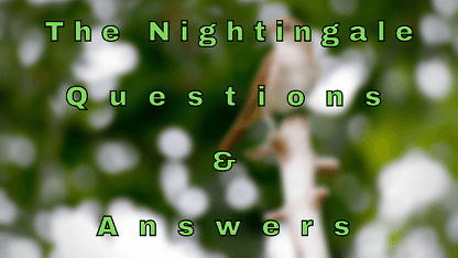 The Nightingale Questions & Answers