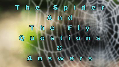 The Spider And The Fly Questions & Answers