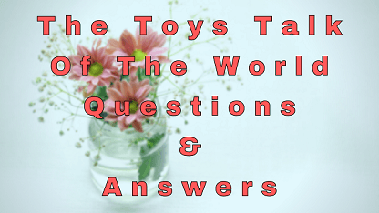 The Toys Talk Of The World Questions & Answers