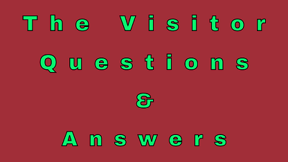 The Visitor Questions & Answers