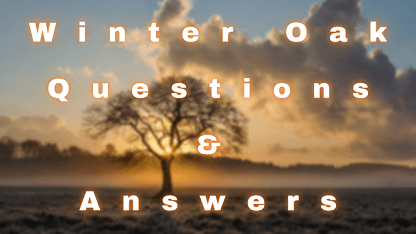 Winter Oak Questions & Answers