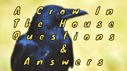 A Crow In The House Questions & Answers