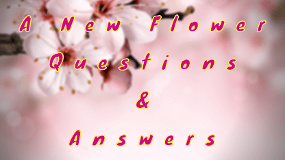 A New Flower Questions & Answers