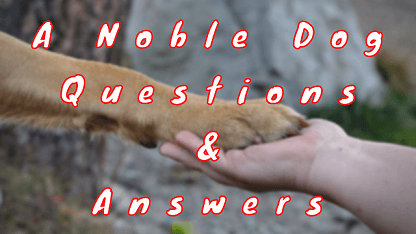 A Noble Dog Questions & Answers