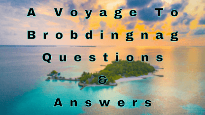 A Voyage To Brobdingnag Questions & Answers