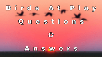 Birds At Play Questions & Answers