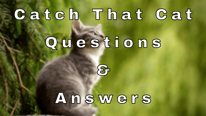 Catch That Cat Questions & Answers
