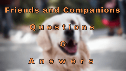 Friends and Companions Questions & Answers