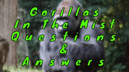 Gorillas in The Mist Questions & Answers