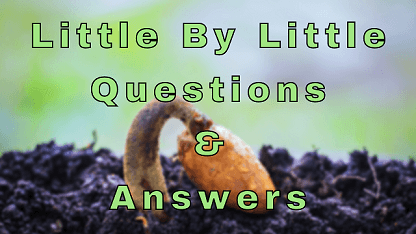 Little By Little Questions & Answers