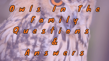 Owls In The Family Questions & Answers