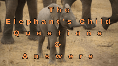 The Elephant’s Child Questions & Answers