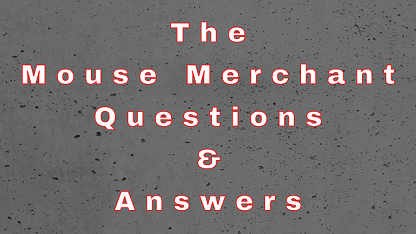 The Mouse Merchant Questions & Answers