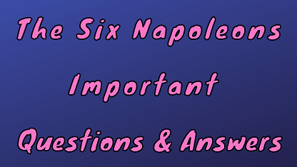 The Six Napoleons Important Questions & Answers
