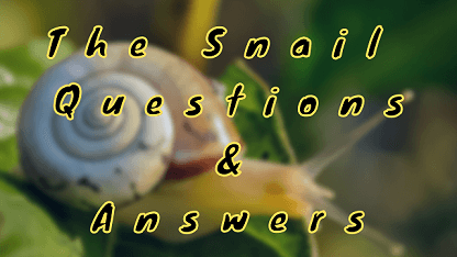 The Snail Questions & Answers