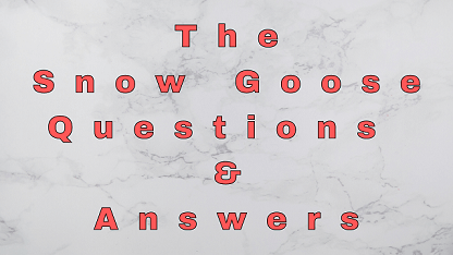The Snow Goose Questions & Answers