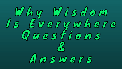 Why Wisdom Is Everywhere Questions & Answers