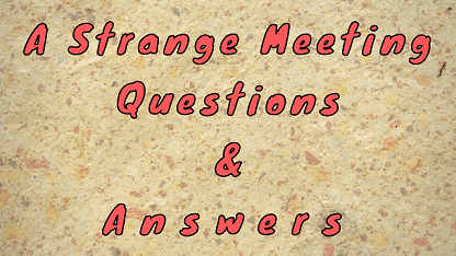 A Strange Meeting Questions & Answers