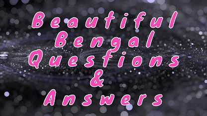 Beautiful Bengal Questions & Answers