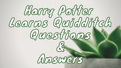 Harry Potter Learns Quidditch Questions & Answers